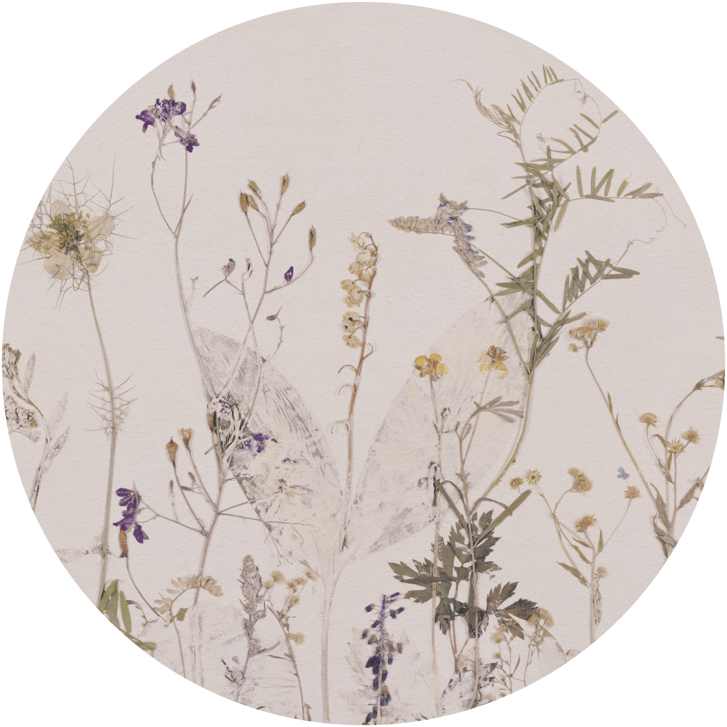 Campo di Erbe – Tapeta Koło Standard