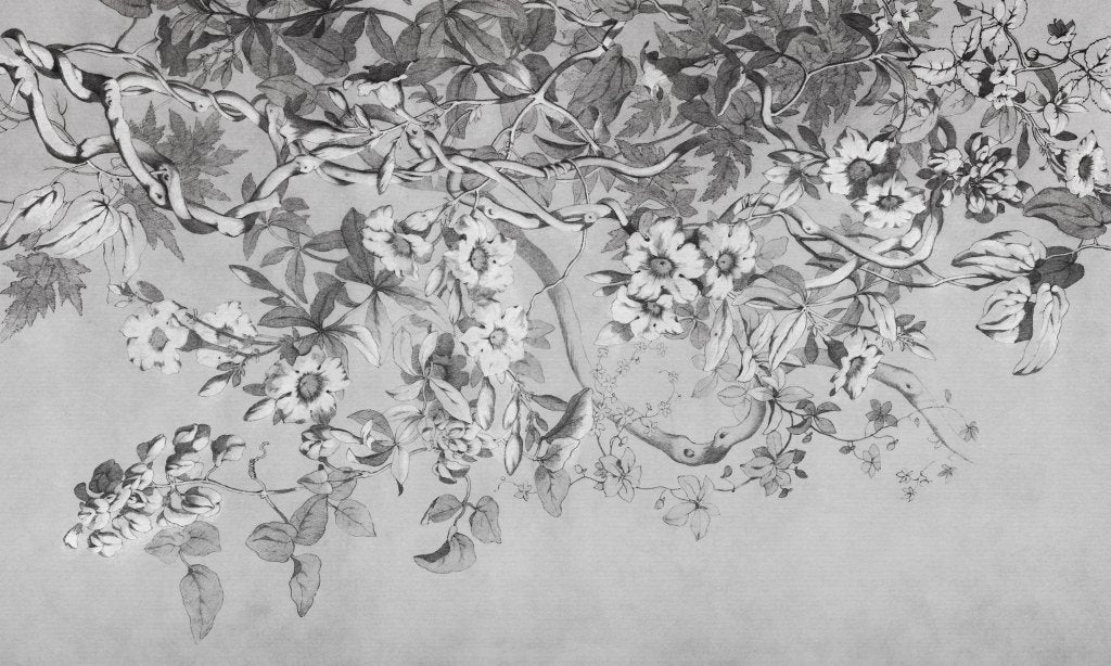 Alamanda – Tapeta w rolkach