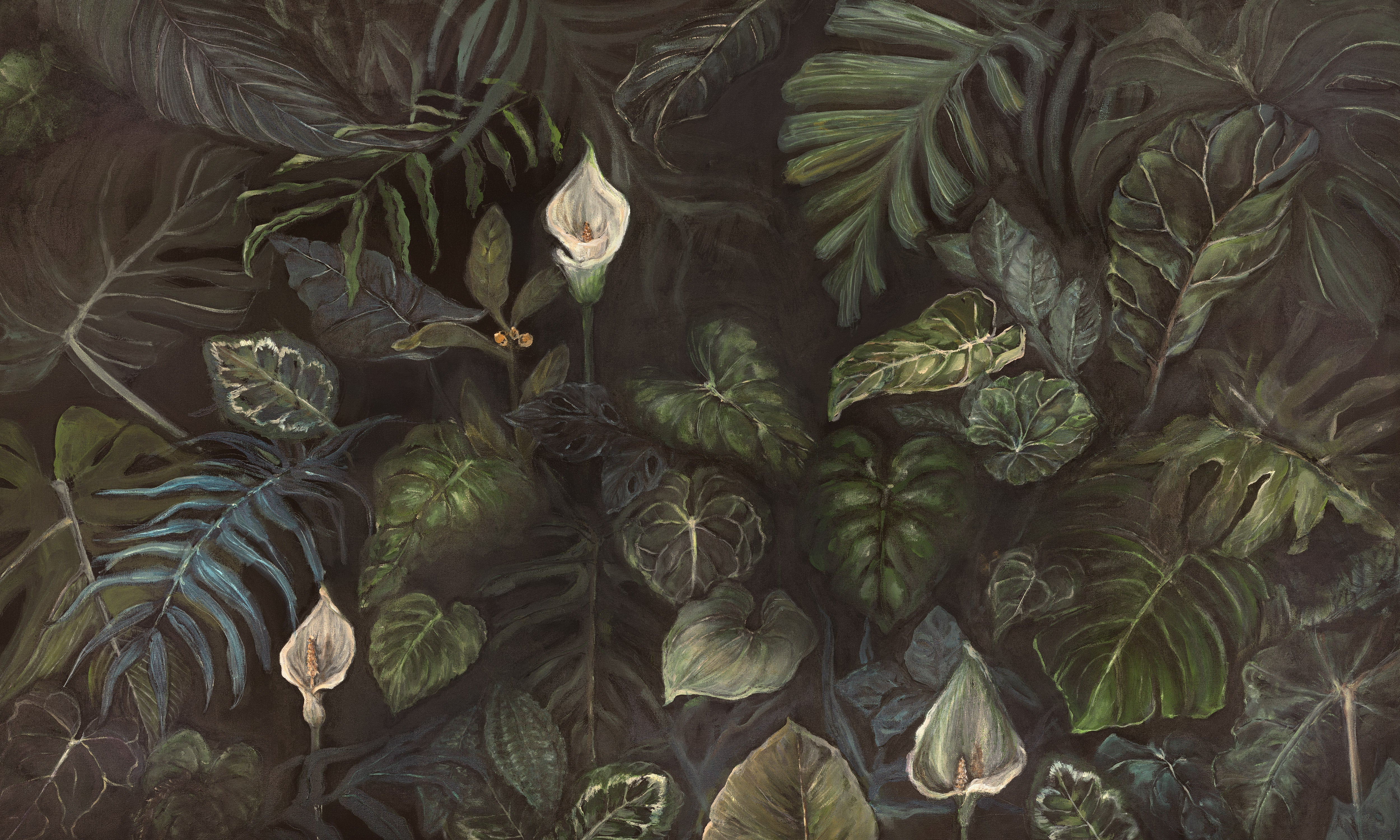 Calla – Tapeta w rolkach